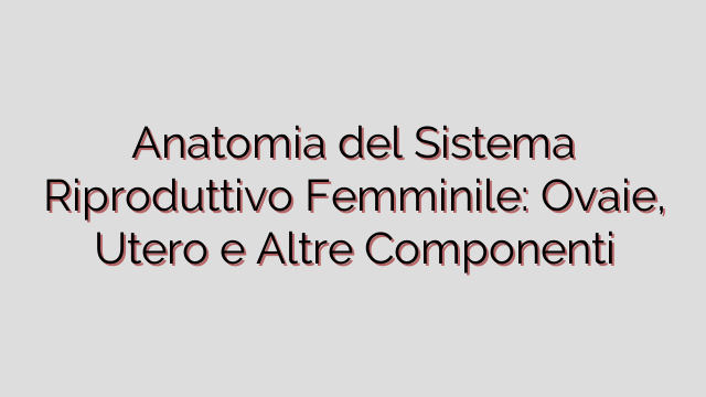 Anatomia del Sistema Riproduttivo Femminile: Ovaie, Utero e Altre Componenti
