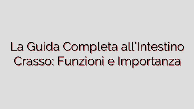 La Guida Completa all’Intestino Crasso: Funzioni e Importanza