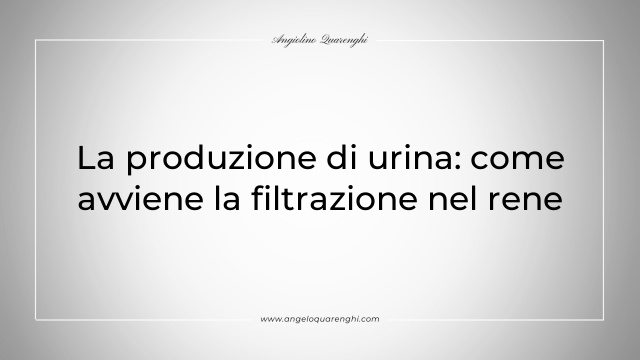 La produzione di urina: come avviene la filtrazione nel rene