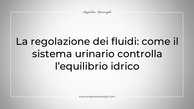 La regolazione dei fluidi: come il sistema urinario controlla l’equilibrio idrico